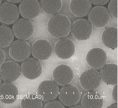 甲苯磺?；胖?供應信息 食品科技網