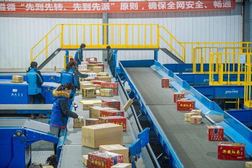 中通服務(wù)現(xiàn)代農(nóng)業(yè),快遞助力農(nóng)民豐收